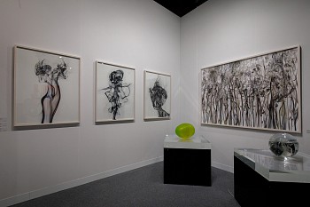 Courtesy David Willems Photography (3)