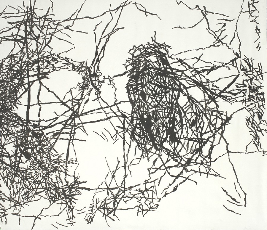 Daniella Sheinman, Untitled
2012, Graphite on canvas