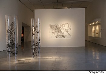 IMG 8021 '&Atilde;&Acirc;&brvbar;&Atilde;&acirc;&cent;&Atilde;&Aring;&Atilde;&acirc;&cent;&Atilde;&Acirc; &Atilde;&Acirc;&iexcl;&Atilde;&acirc;&cent;&Atilde;&acirc;&cent;&Atilde;&Aring;&cedil; &Atilde;&Acirc;&curren;&Atilde;&Acirc;&uml;&Atilde;&acirc; copy