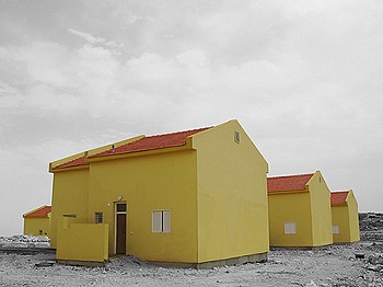 Yanai Toister Autumn Spring Palette #475 2006 c print