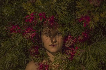 Red Flowers, 2016, Inkjet print, 60X90 cm, Edition of 5 + IIAP 1