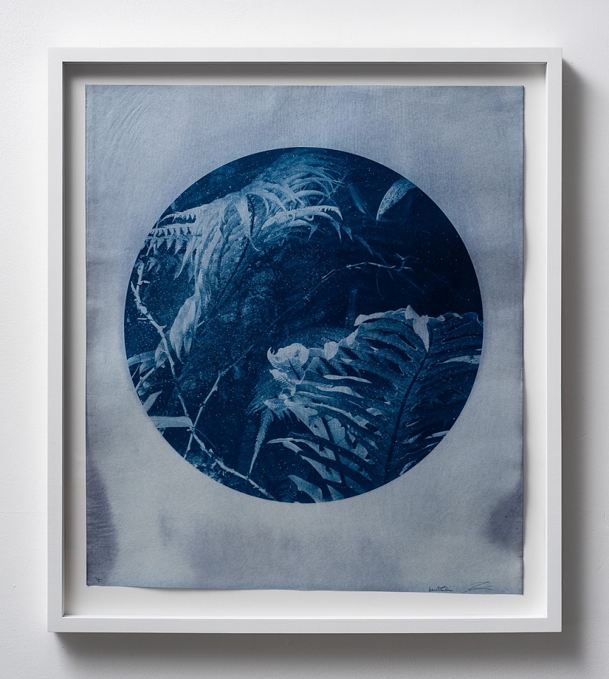 Itamar Freed & Kristina Chan, Aloe Vera I
2019, Cyanotype on Tosa Wasa handmade Japanese paper