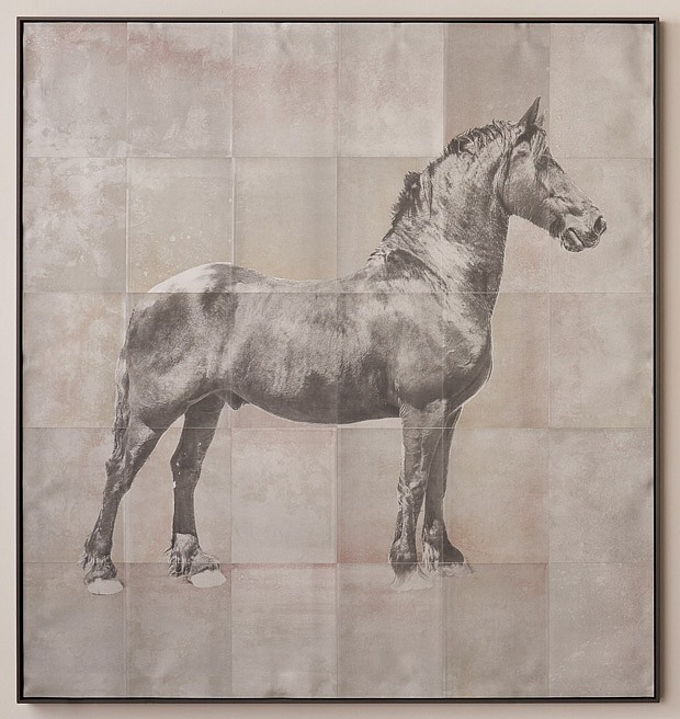 Itamar Freed & Kristina Chan, Horse 1
2022, Multimedia: Lithographic mono print with stencilling