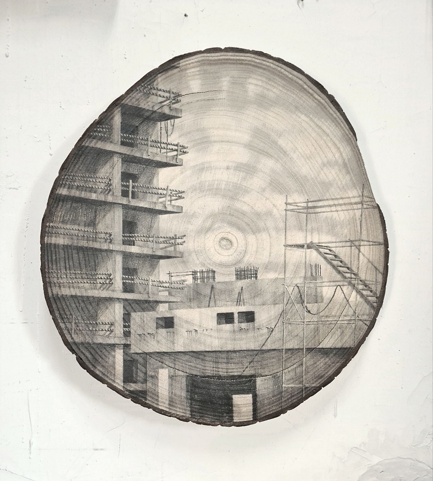 Amir Tomashov, Unrooted 30
2024, Graphite on wood