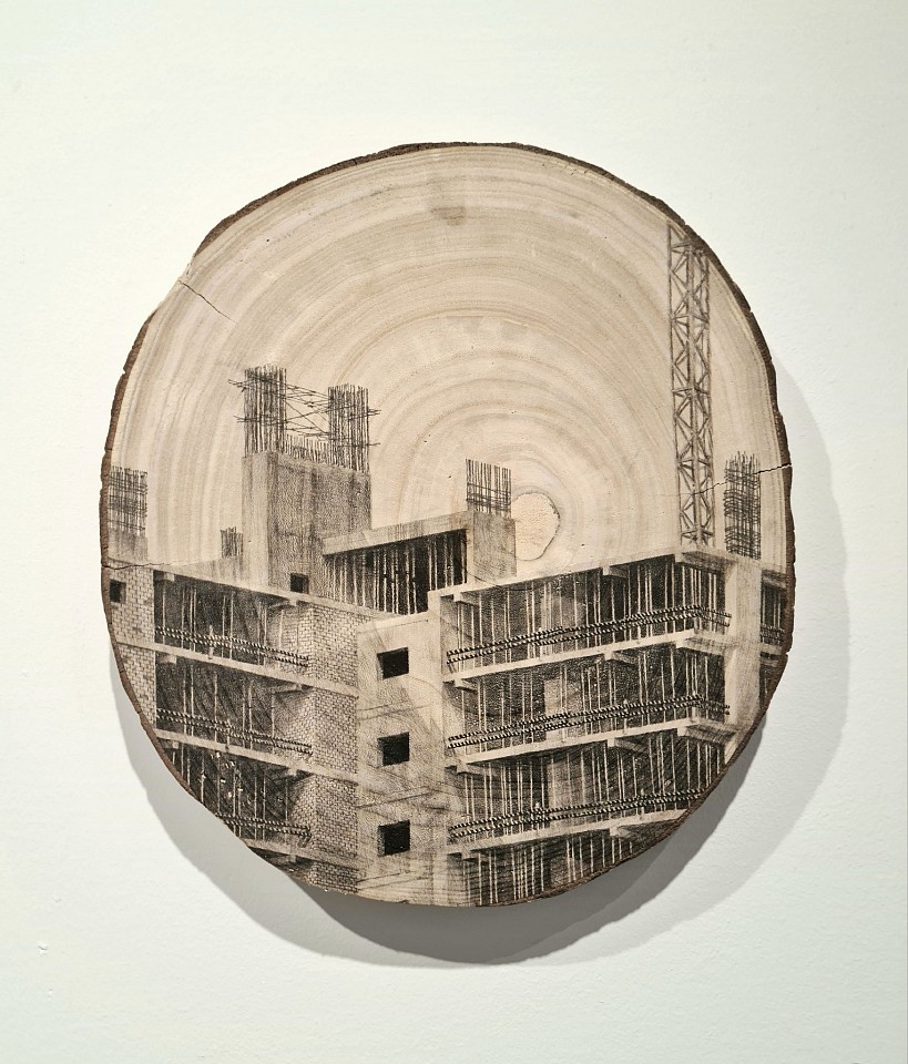 Amir Tomashov, Unrooted 26
2024, Graphite on wood