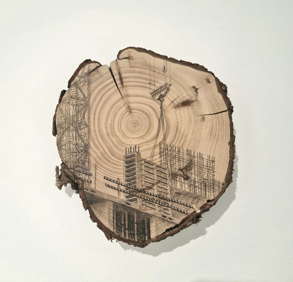 Amir Tomashov, Unrooted 29
2024, Graphite on wood