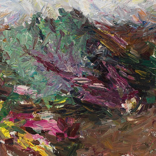 chou et blettes 2022 19 x 29 3cm