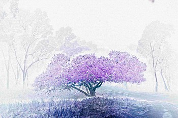 One Tree